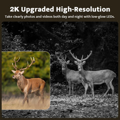 4G LTE Solar Trail Camera