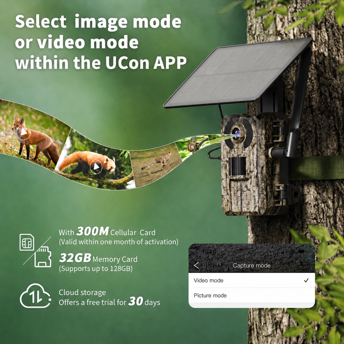 4G LTE Solar Trail Camera
