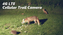 4G LTE Solar Security Camera – Camouflage